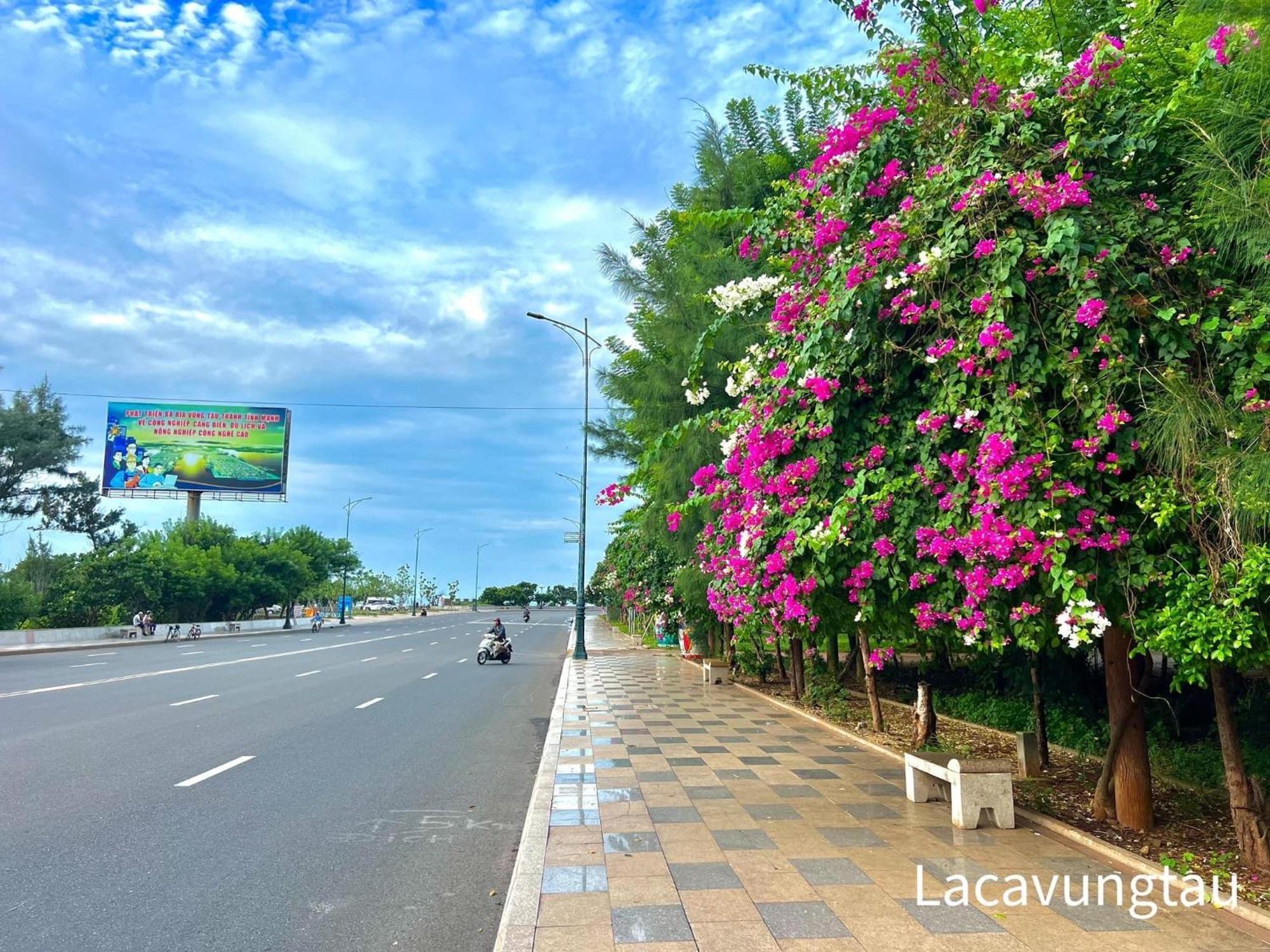 The Song Remy Apartment Vung Tau Exterior foto